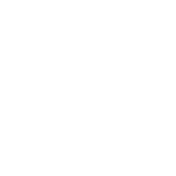 smartphone with blank screen